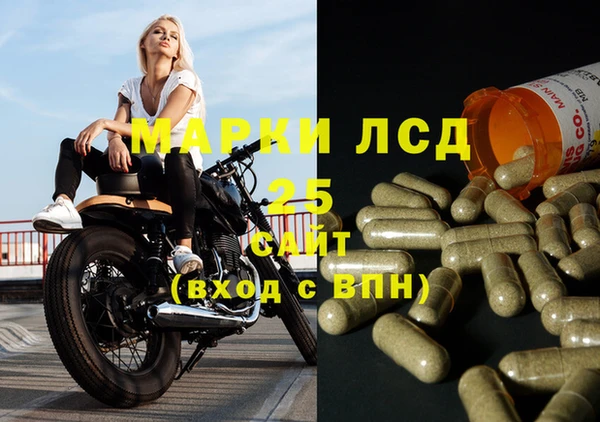 PSILOCYBIN Алзамай