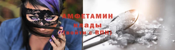 PSILOCYBIN Алзамай