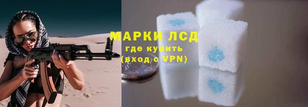 PSILOCYBIN Алзамай
