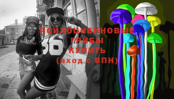 МДПВ Алексеевка